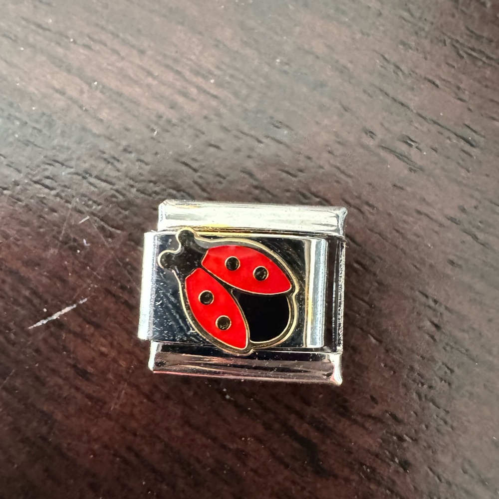 Ladybug Italian Charm